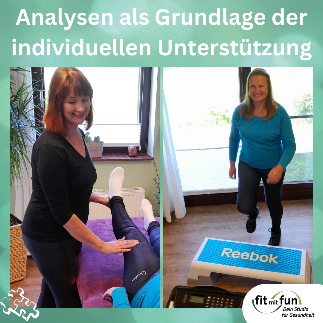 HP Analysen als Kernelement